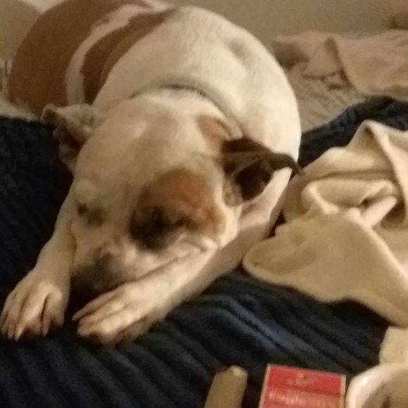 Profile Picture of Liza Plaisted (@lizaplaisted) on Poshmark