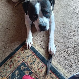 Profile Picture of BREtt (@bretpain) on Tiktok