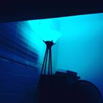 Profile Picture of isuwujsjs (@gradybeard19) on Instagram