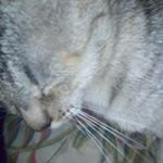 Profile Picture of Robert Francisco Zegarra Lima (@robertfranciscozegarralima) on Instagram