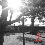 Profile Picture of william.veilleux__375 (@william.veilleux__375) on Instagram