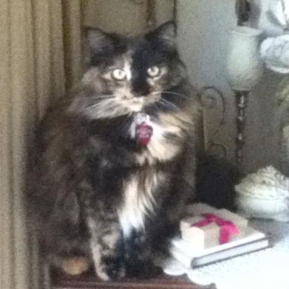 Profile Picture of Janet Davis (@ohreally) on Poshmark