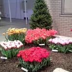 Profile Picture of Gretchen Strauch (@gretchen.strauch) on Facebook