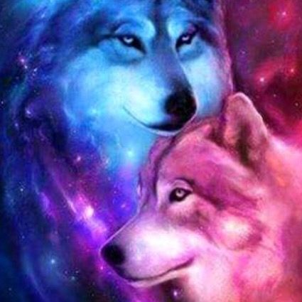 Profile Picture of scottdl2 (@lunar_eclipse300) on Tiktok