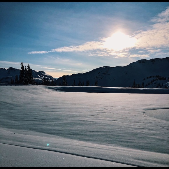 Profile Picture of Phebe Chen (@phebechen) on Poshmark