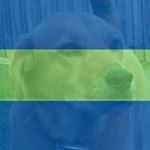 Profile Picture of rogerjeffries (@rogerjeffries) on Instagram