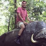 Profile Picture of Javier Quiñones Melero (@quinon3s) on Instagram