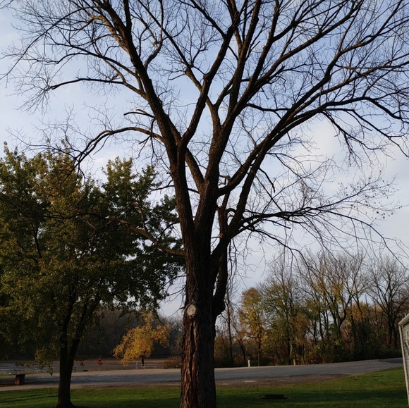 Kim Savage - Poshmark Profile Picture of Kim Savage (@savageraskin1) on Poshmark