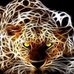 Profile Picture of Sandi Davidson (@sandi.davidson.33) on Facebook