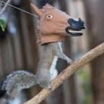 Profile Picture of Max Gower (@gowermax1) on Twitter