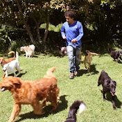 Profile Picture of Joe Mike (@joemike5477) on Youtube