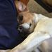 Profile Picture of Robert Zuber (@robert.zuber.16) on Facebook