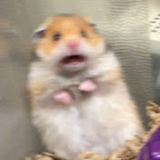 Profile Picture of Maduz (@maduz486) on Youtube