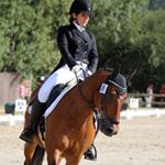 Profile Picture of Camille Lair (@cml.dressage) on Instagram