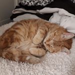 Profile Picture of Stephane Clement (@stephane.clement.98) on Instagram
