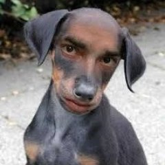 Profile Picture of Damien Lester (@SirRonTheLordOf) on Twitter