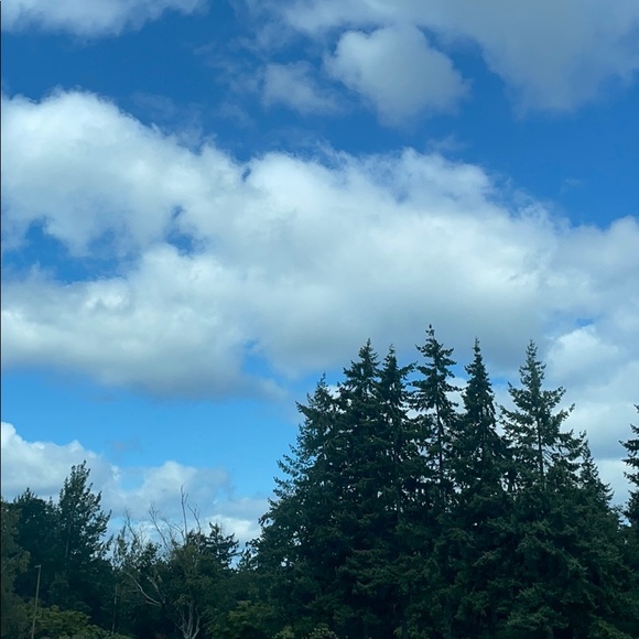 Profile Picture of Hannah Callaway (@hmae2023) on Poshmark