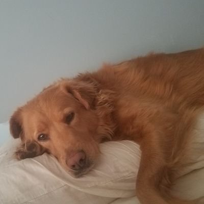 Profile Picture of Joseph McClure (@CrptoJoe) on Twitter