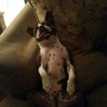 Profile Picture of david fancher (@fancheese) on Instagram