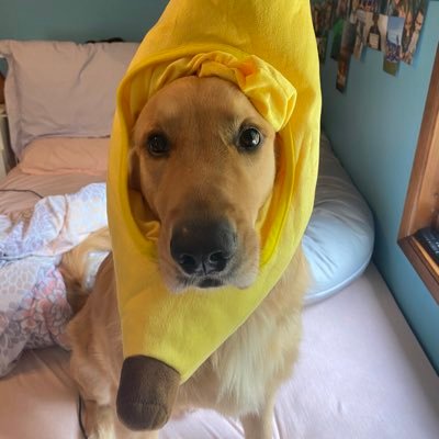 Profile Picture of Haley Kerr (@haley_kerr333) on Twitter