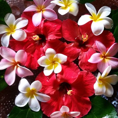 Hélène Mejean - Twitter Profile Picture of Hélène Mejean (@HeleneMejean) on Twitter