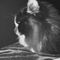 Profile Picture of Megan Ernst (@Megan-Ernst) on Facebook
