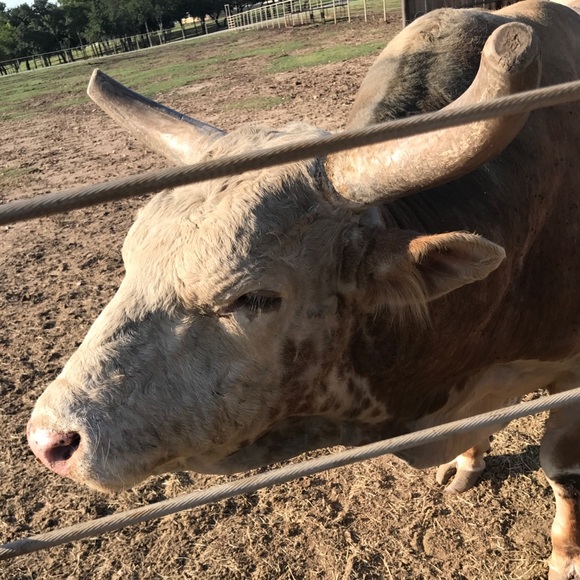 Profile Picture of Daniel Carr (@dancarr7306) on Poshmark