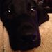 Profile Picture of Kimber Keller (@KimberLee25) on Pinterest