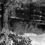 Profile Picture of Galligan (@kipnisalex67) on Instagram