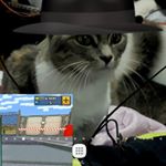Profile Picture of Mark Couture (@mark_bg_lol) on Instagram