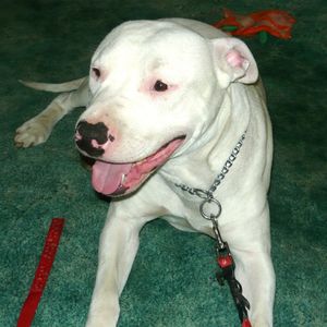 Profile Picture of Kenneth Burton (@burton29wa) on Myspace