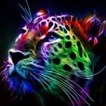 Profile Picture of Kamran Khan Khalil (@haleemyar11) on Instagram