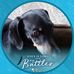 Profile Picture of Ada Horton (@ada.horton.3110) on Facebook
