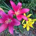 Profile Picture of Zubair Hussain (@7zubair) on Pinterest