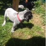 Profile Picture of Emily  Lockrem (@kimberly_magdom) on Instagram