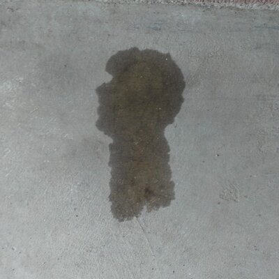 Profile Picture of Shawn McNabb (@zacefronotrealy) on Twitter