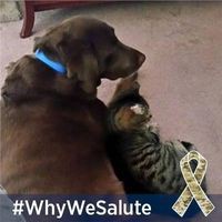 Profile Picture of Ronald Bray (@ronald-bray-5) on Quora