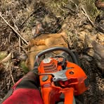 Profile Picture of Paul Obermoser (@Paul-Obermoser) on Facebook