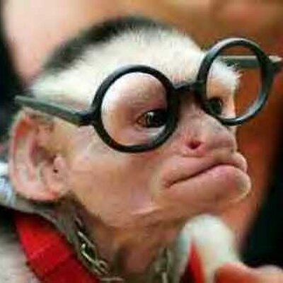 Profile Picture of Victorpascual (@victorpascual) on Twitter