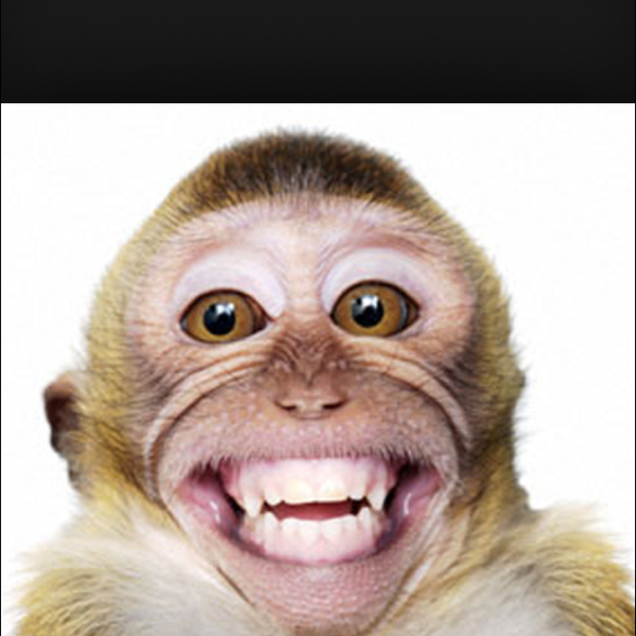 Profile Picture of Melissa Cardona (@mcardona) on Poshmark