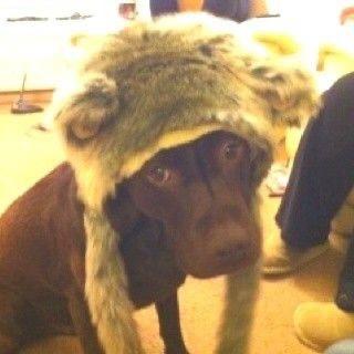 Profile Picture of elis💥 (@beanwienr) on Tiktok