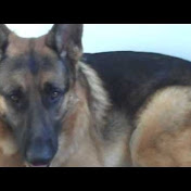 Profile Picture of Rudy Shepherd (@RudyShepherd1) on Youtube