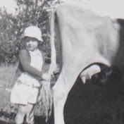 Profile Picture of Doug Ludwig • Plywood Palace Music (@dougludwigplywoodpalacemus6976) on Youtube