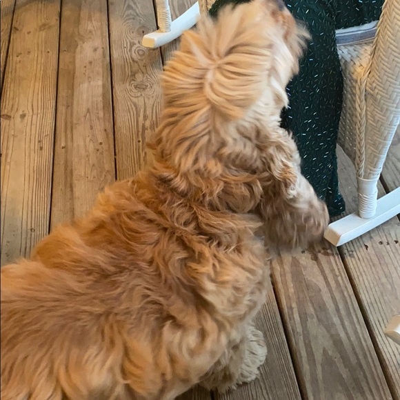 Profile Picture of David Demarest (@david7504) on Poshmark