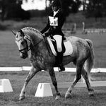 Profile Picture of Rut Eriksson (@rut_eriksson) on Instagram