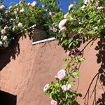 Profile Picture of 🦋Michelle🦋 (@michelle.hjelmstrm) on Instagram