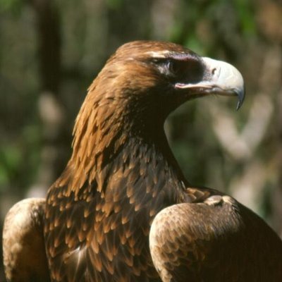 Profile Picture of Karl Viktor Orlov (@KarlVOrlov) on Twitter