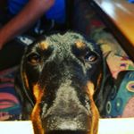 Profile Picture of Mike Strauß (@strauss3301) on Instagram