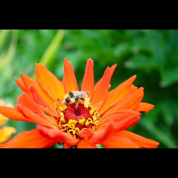 Profile Picture of Jess Velander (@jessvelander) on Poshmark