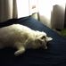 Profile Picture of Tony Bloom (@tony.bloom.716) on Facebook